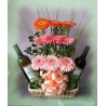 Gerberas y Vinos