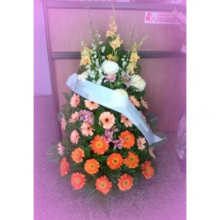 Palma Natural Velatorio