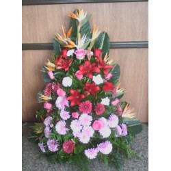 Ofrenda Palma Natural
