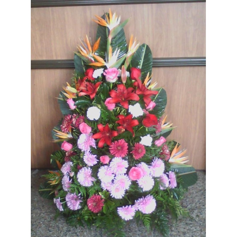 Ofrenda Palma Natural