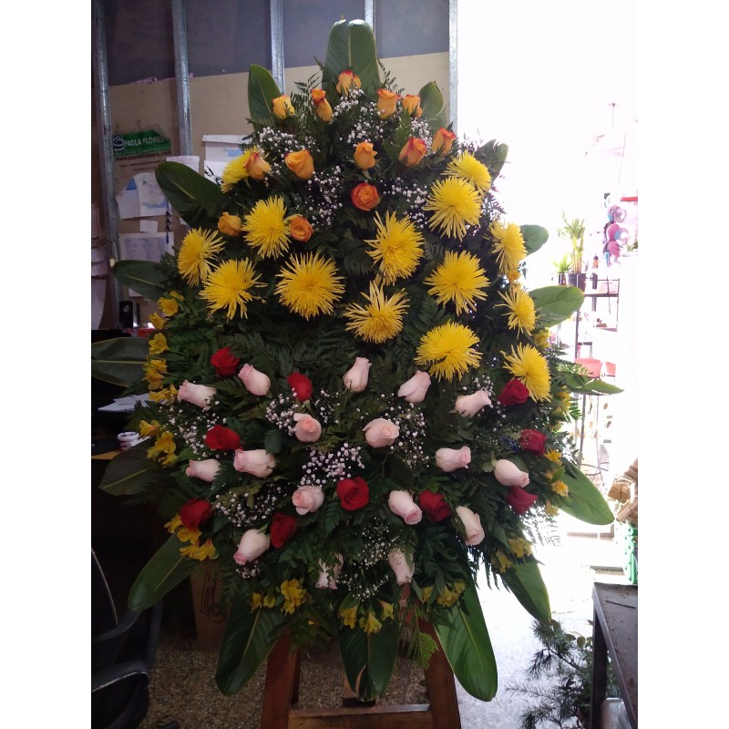 Corona  Natural Velatorio